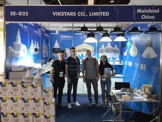 Vikstars Co., Limited خط إنتاج المصنع