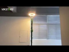 أحدث مصابيح حديقة LED 100 واط 3000 كلفن 4000 كلفن 6500 كلفن